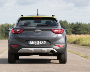 Stonic Grey Standarts (3)